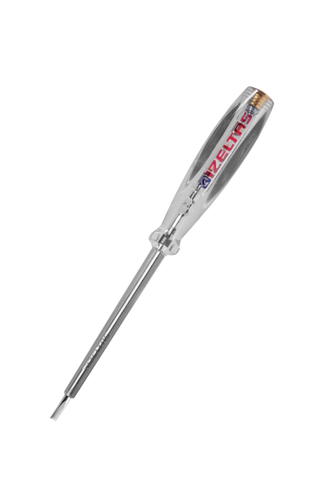 DSF2024